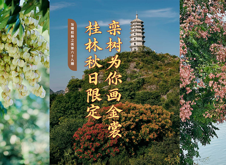 发现桂林之美第六十八期