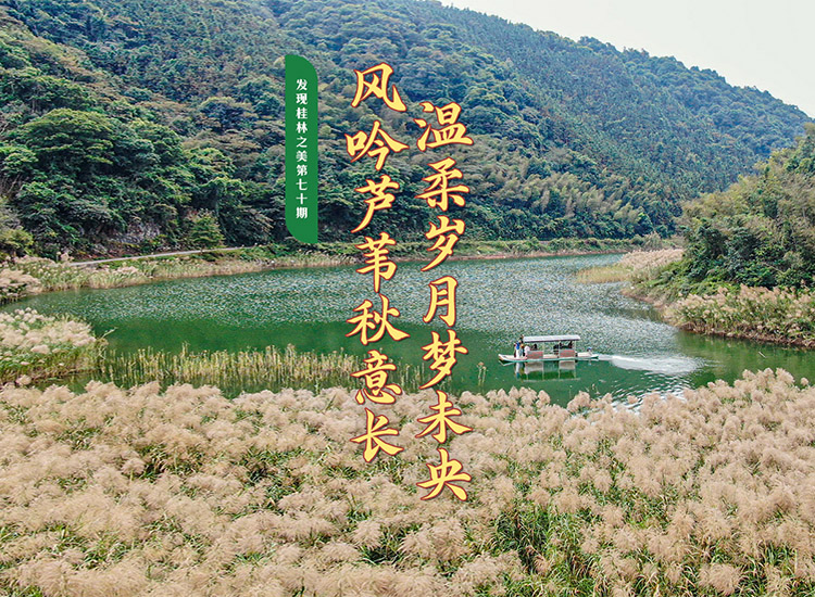 发现桂林之美第七十期