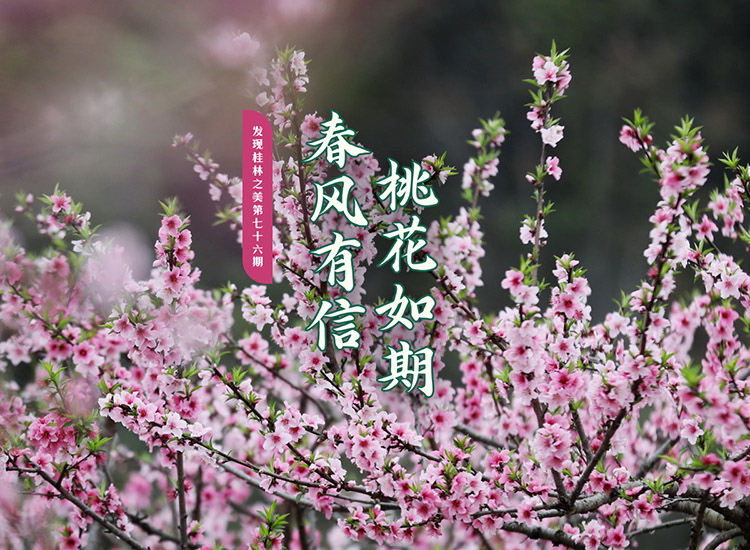 发现桂林之美第七十六期