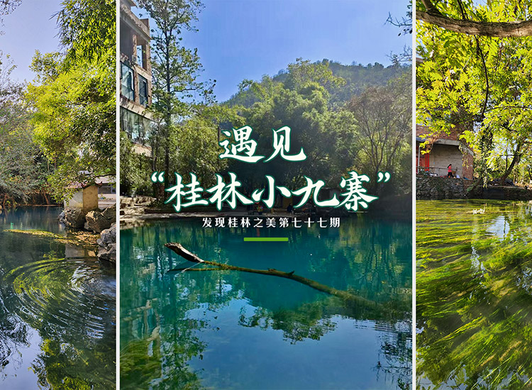 发现桂林之美第七十七期